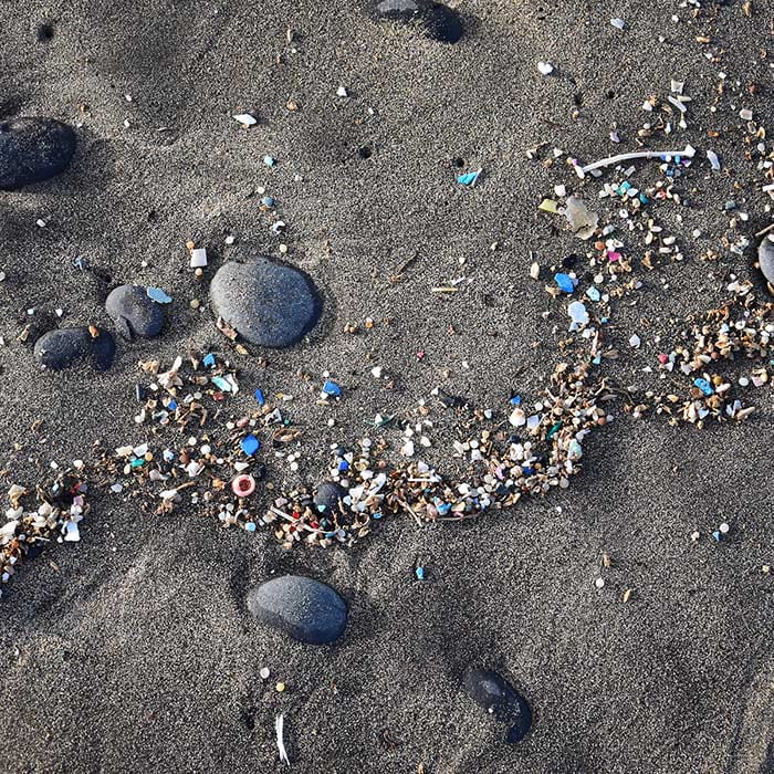 Microplastic Pollution and Human Health Podcast