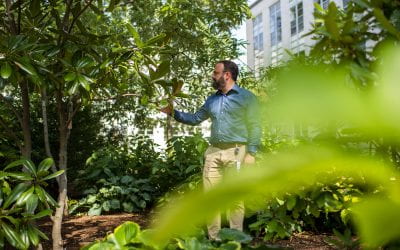 He Cultivates The Campus’s ‘Urban Forest” With an Eye On The Future